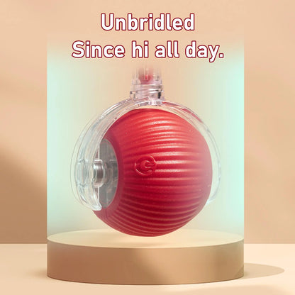 USB Rechargeable Dog Teaser Toy, Long Tail Toy Ball, Cat Training Toy, Tease Cat Training Toy, Suitable for All Cats, Valentine'S Day Gift