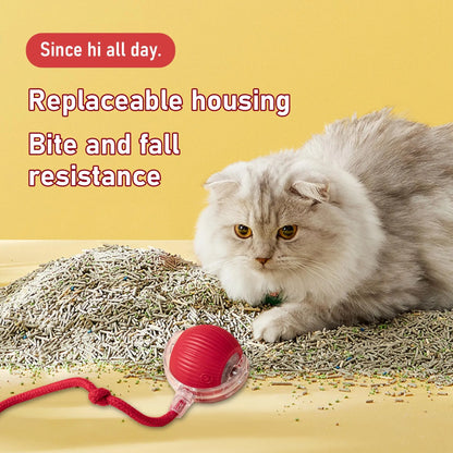 USB Rechargeable Dog Teaser Toy, Long Tail Toy Ball, Cat Training Toy, Tease Cat Training Toy, Suitable for All Cats, Valentine'S Day Gift