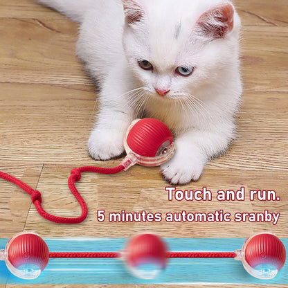 USB Rechargeable Dog Teaser Toy, Long Tail Toy Ball, Cat Training Toy, Tease Cat Training Toy, Suitable for All Cats, Valentine'S Day Gift